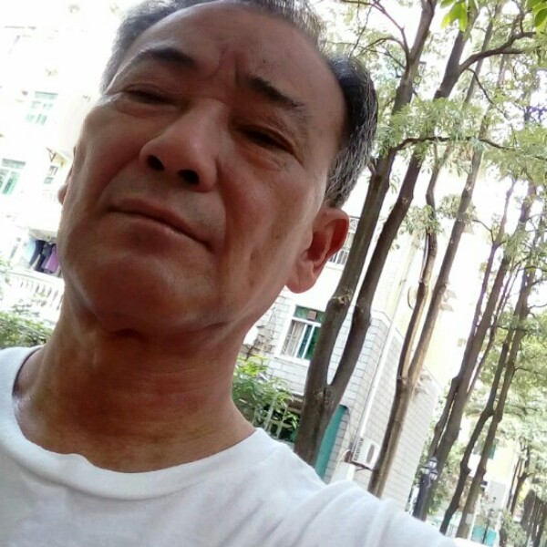 乌冬面健忘的照片