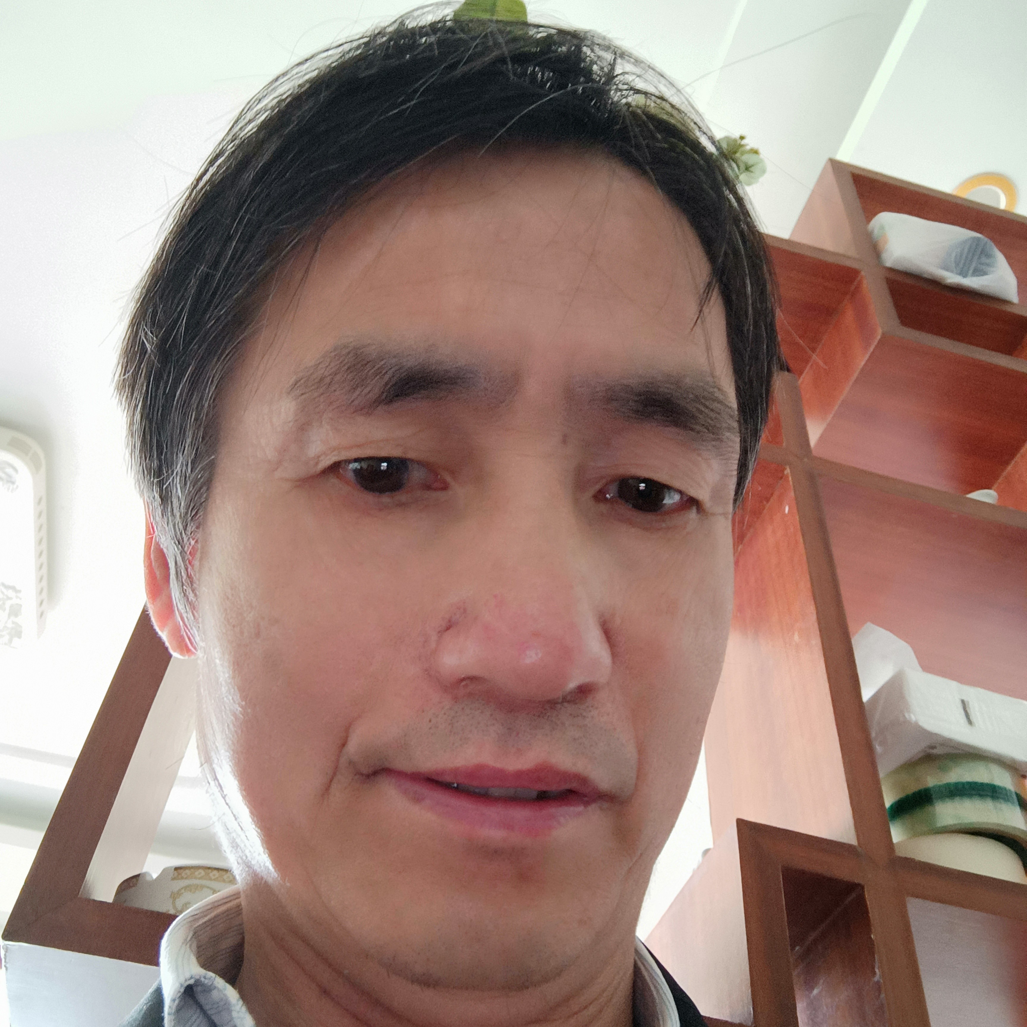 沉静苦恋热狗的照片
