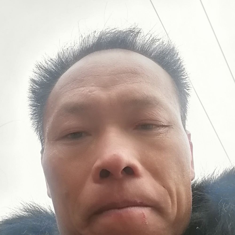 晨曦有流年的的照片