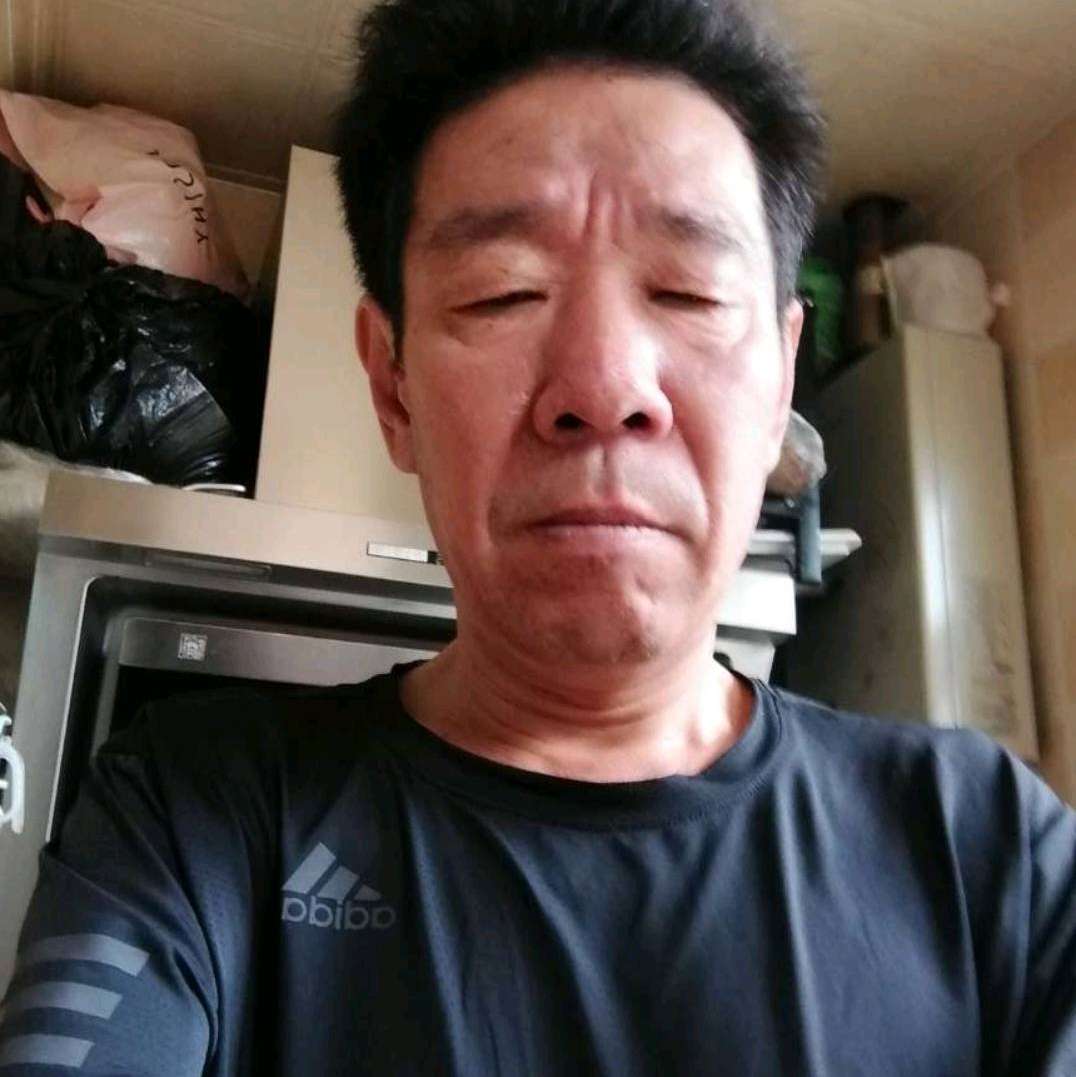 狗請有魅力的照片