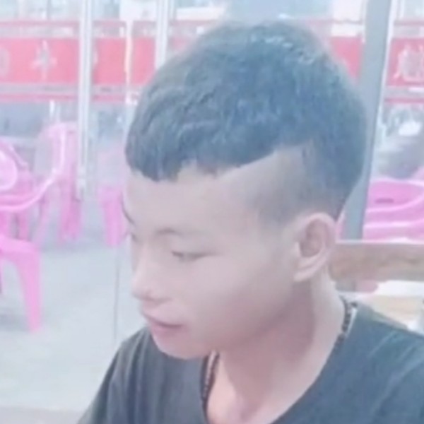小白菜漂亮的照片