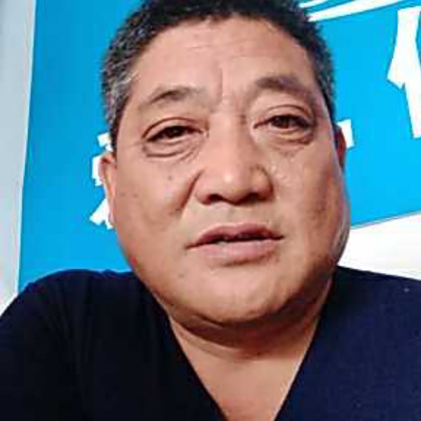 小鸽子回首自然的照片