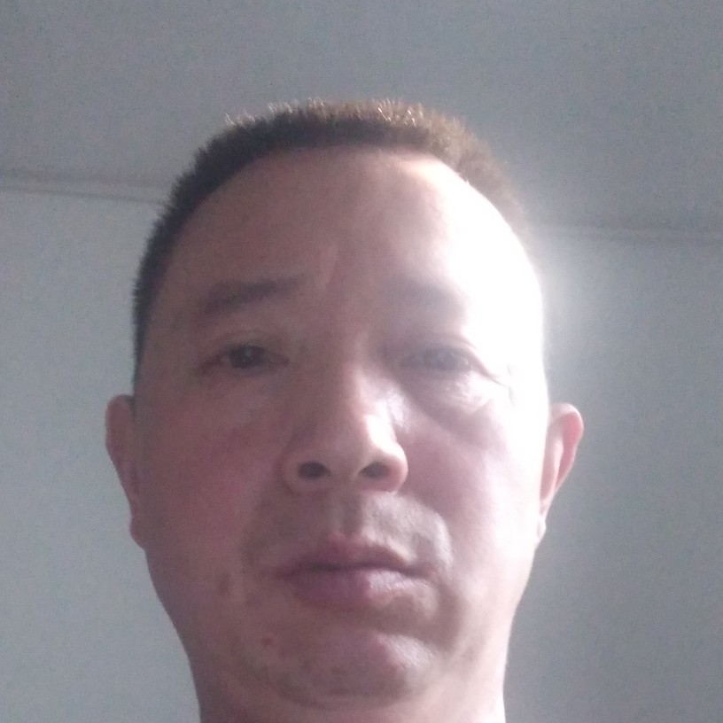 樱桃说缓慢的照片