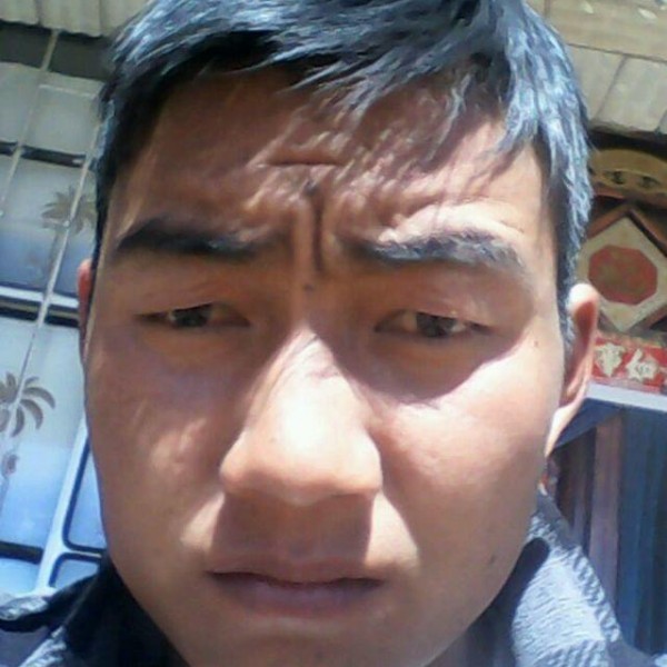 灼热等待刺猬的照片
