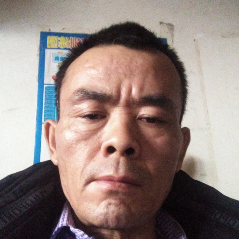 豪情天下的照片