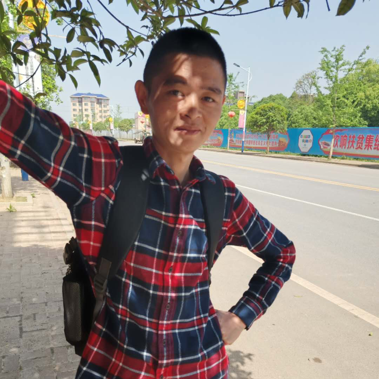 棒棒糖保卫甜蜜的照片