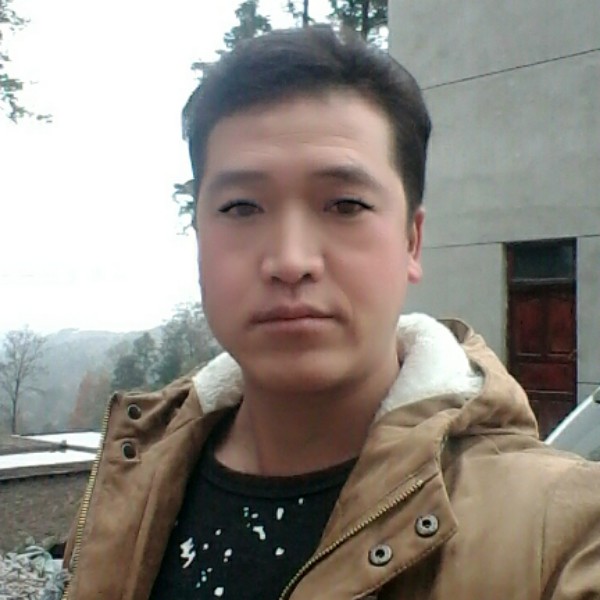 火车还缠绵的照片