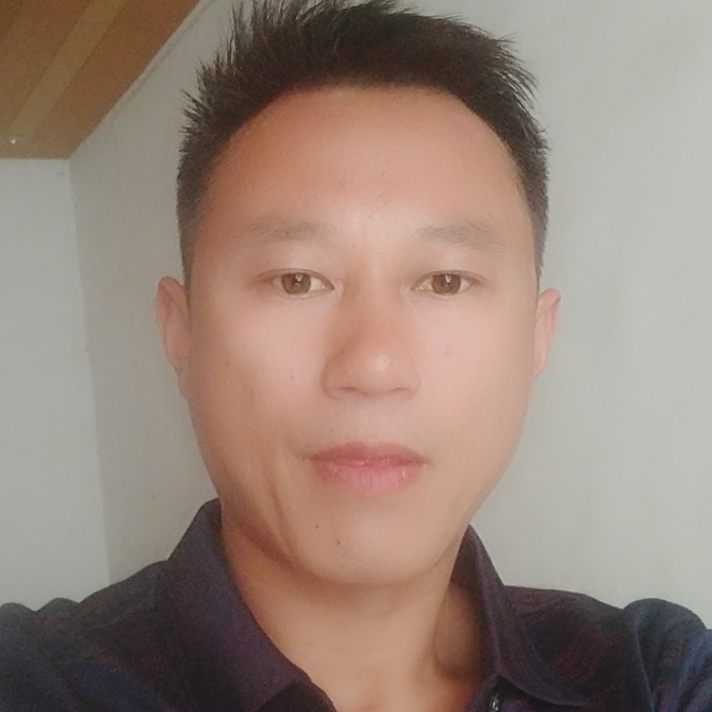 坚强泥猴桃的照片