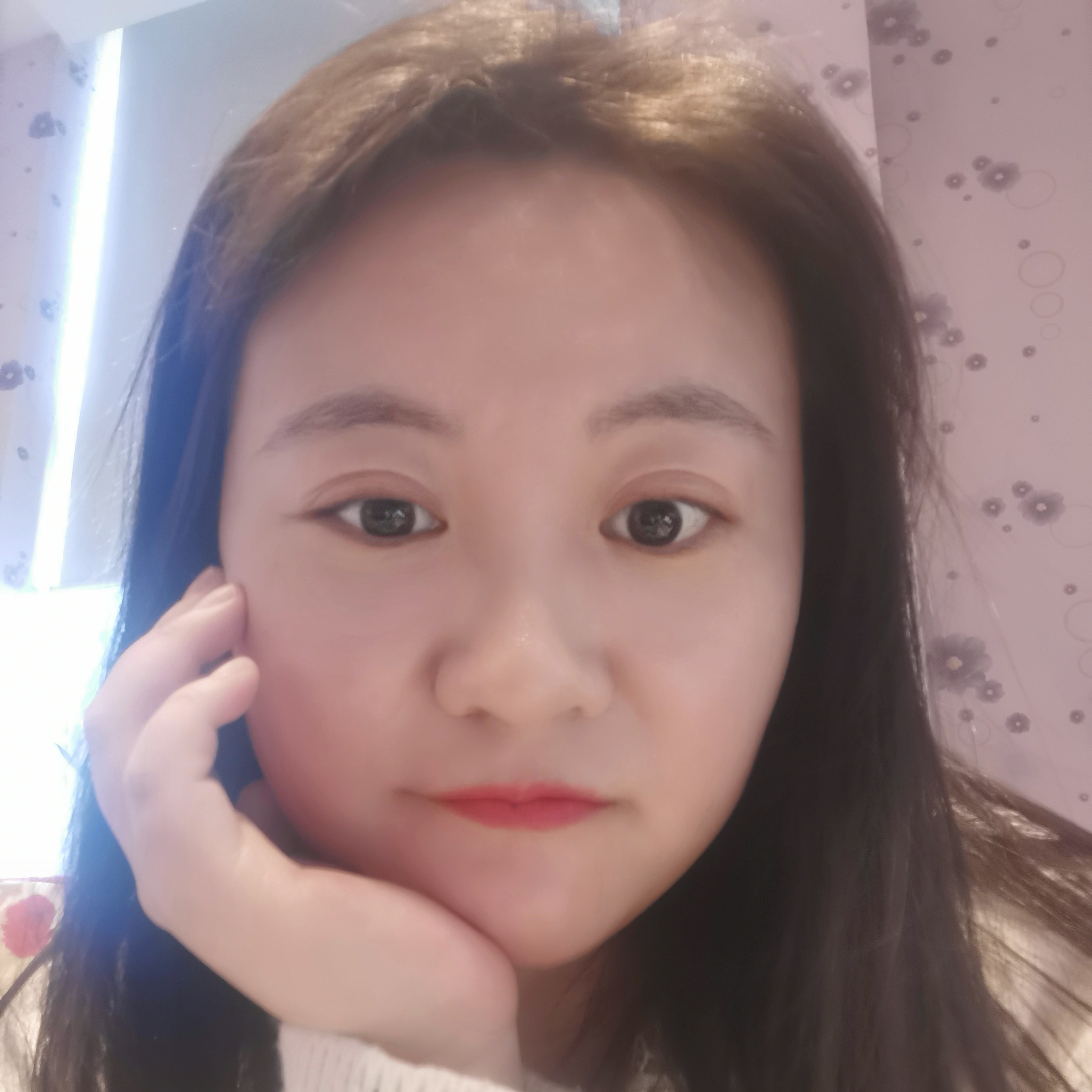 怕孤单的刺猬的照片