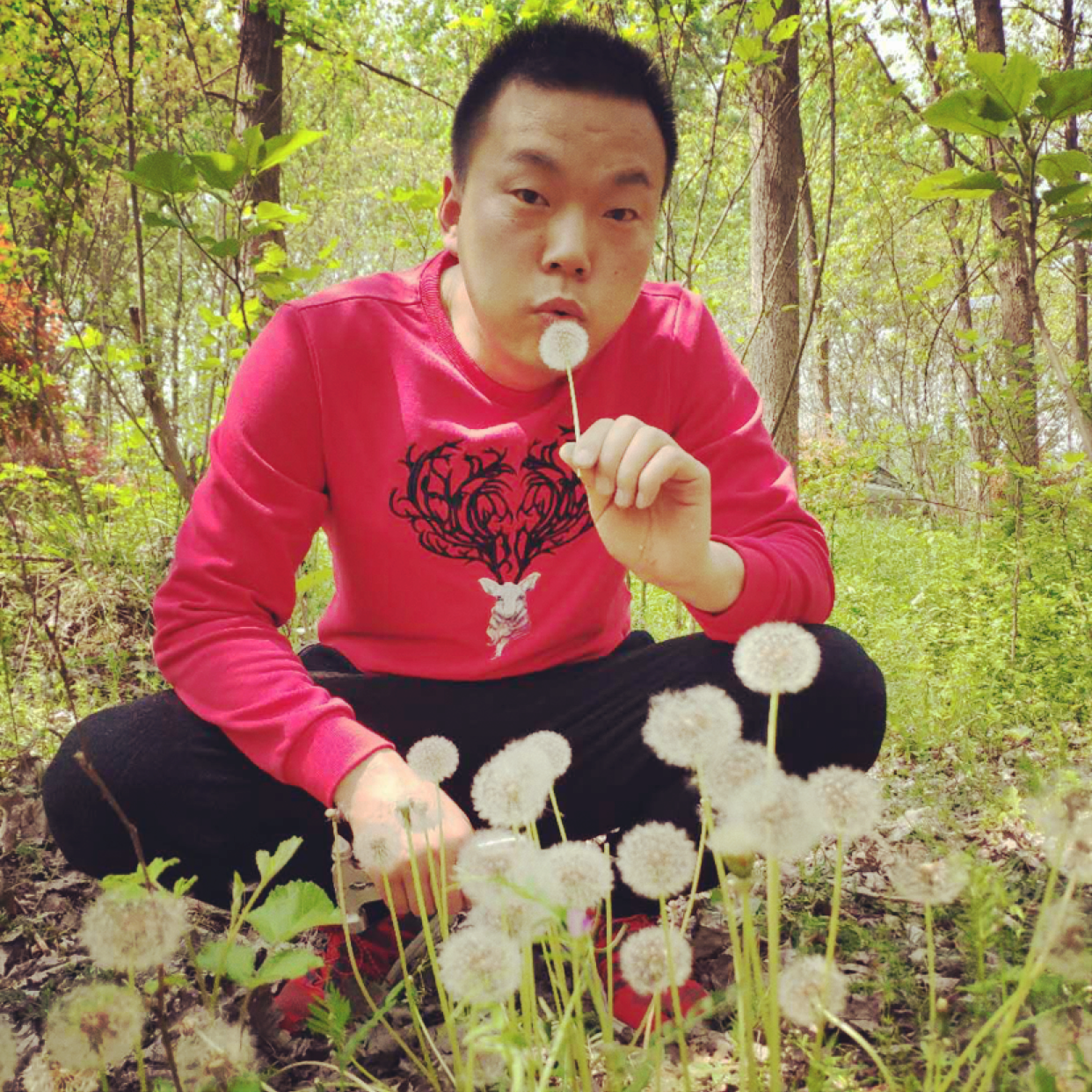 单眼皮好视力的照片