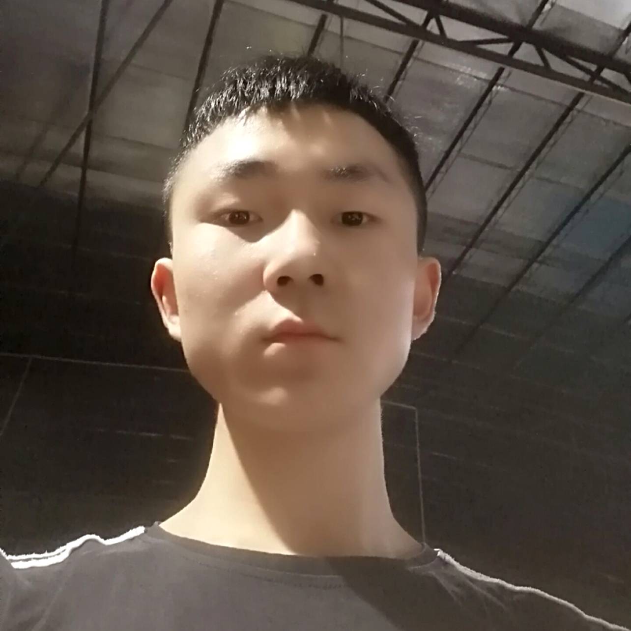 戈尔猪的照片