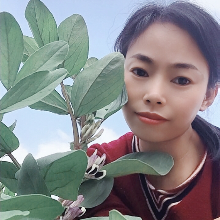 不可说那个人的照片