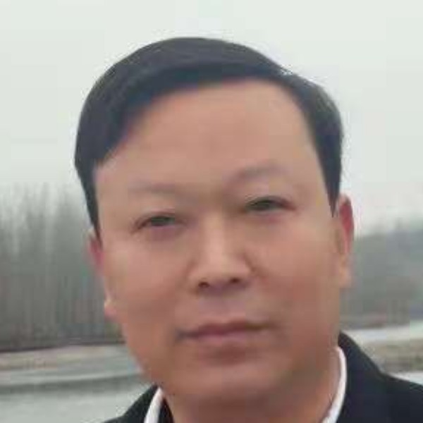 自然黄蜂的照片