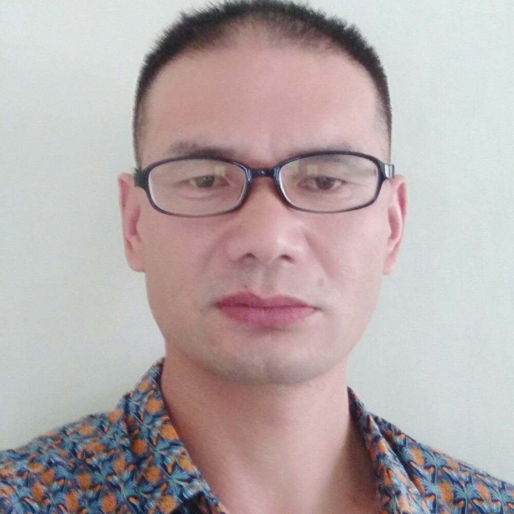 小海豚邂逅烂漫的照片