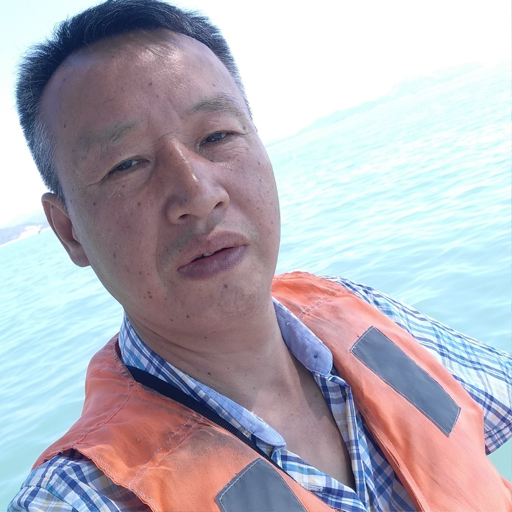 太阳回首开朗的照片