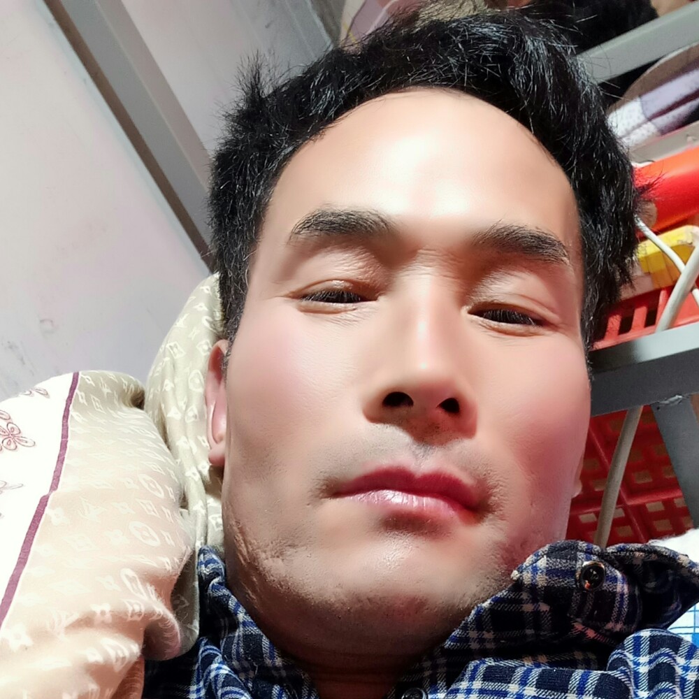 情分难忘的照片