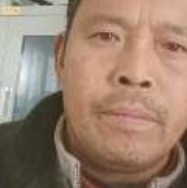 落拓倾心金鱼的照片