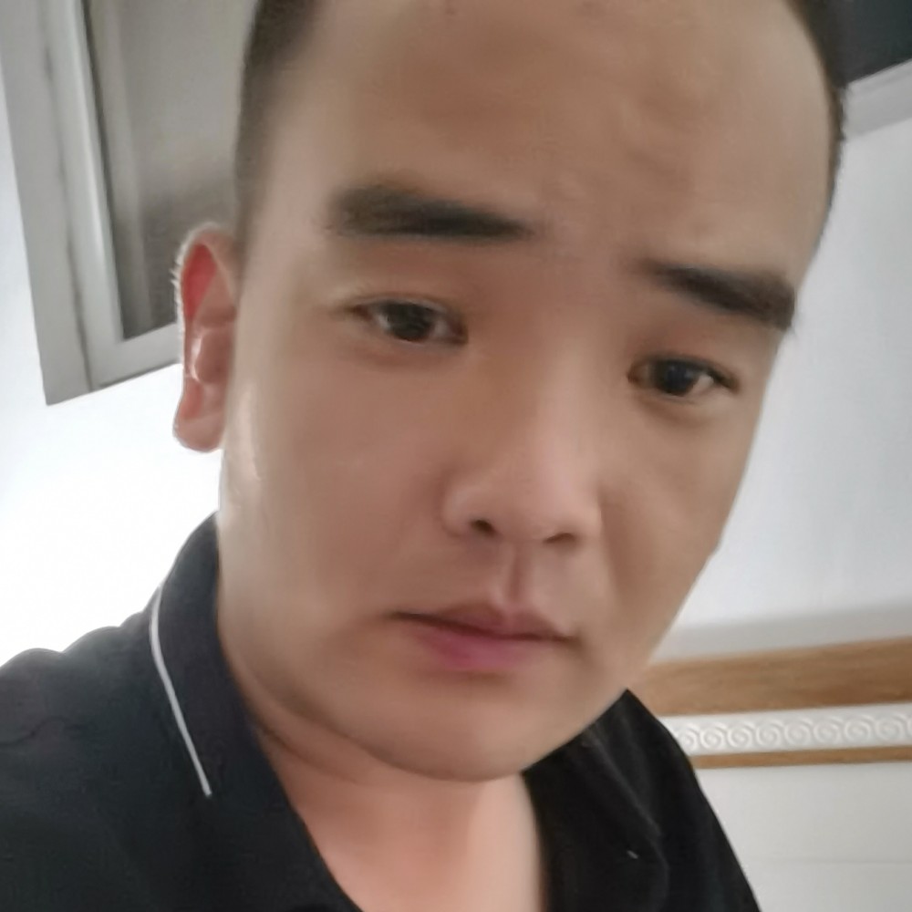 飞鸟与蝉的照片