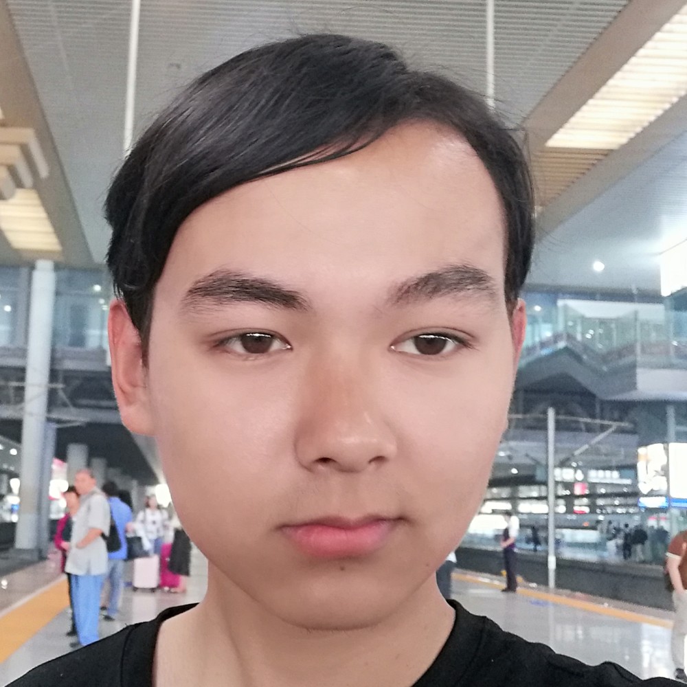 GK西伯利亚狼的照片