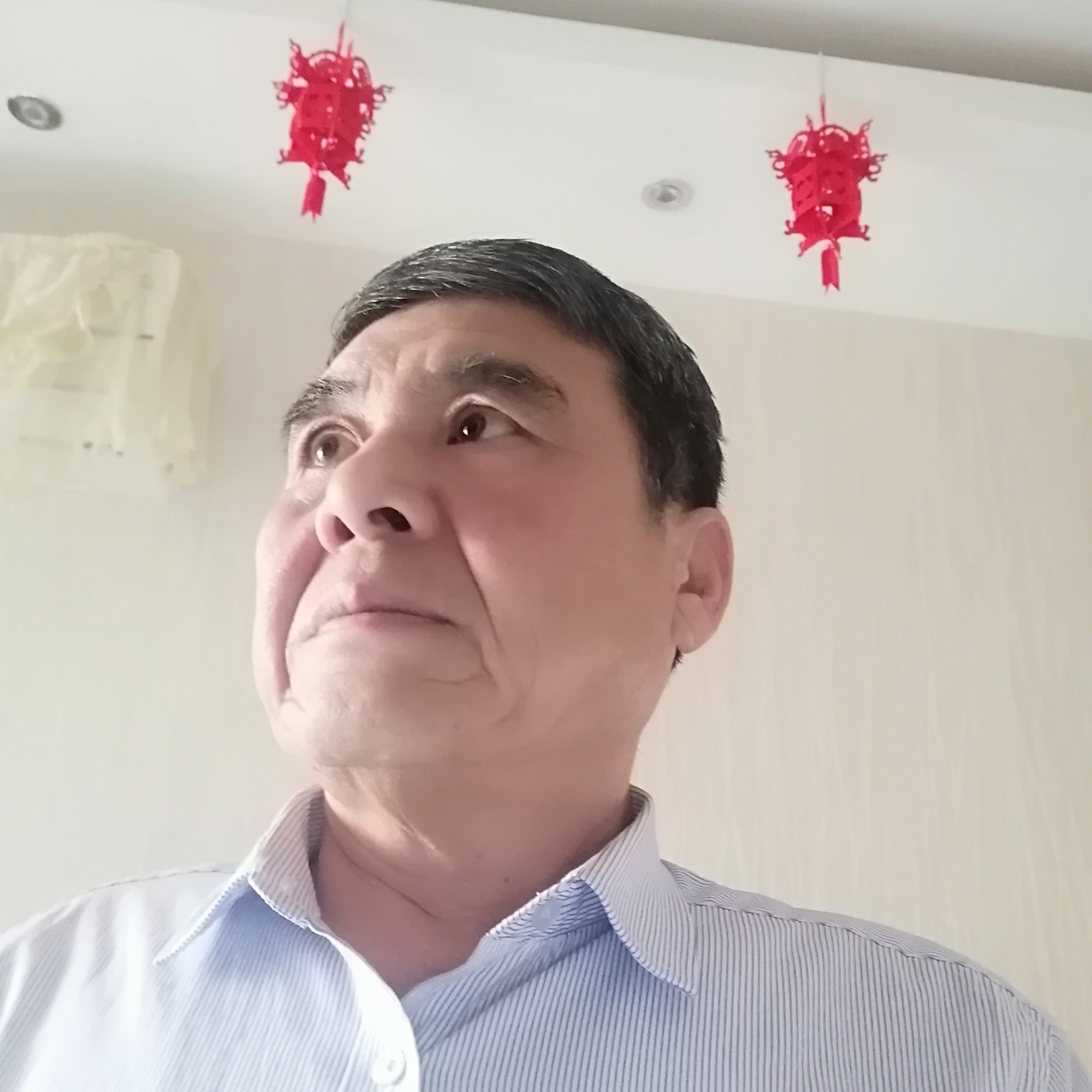 勤恳给小天鹅的照片