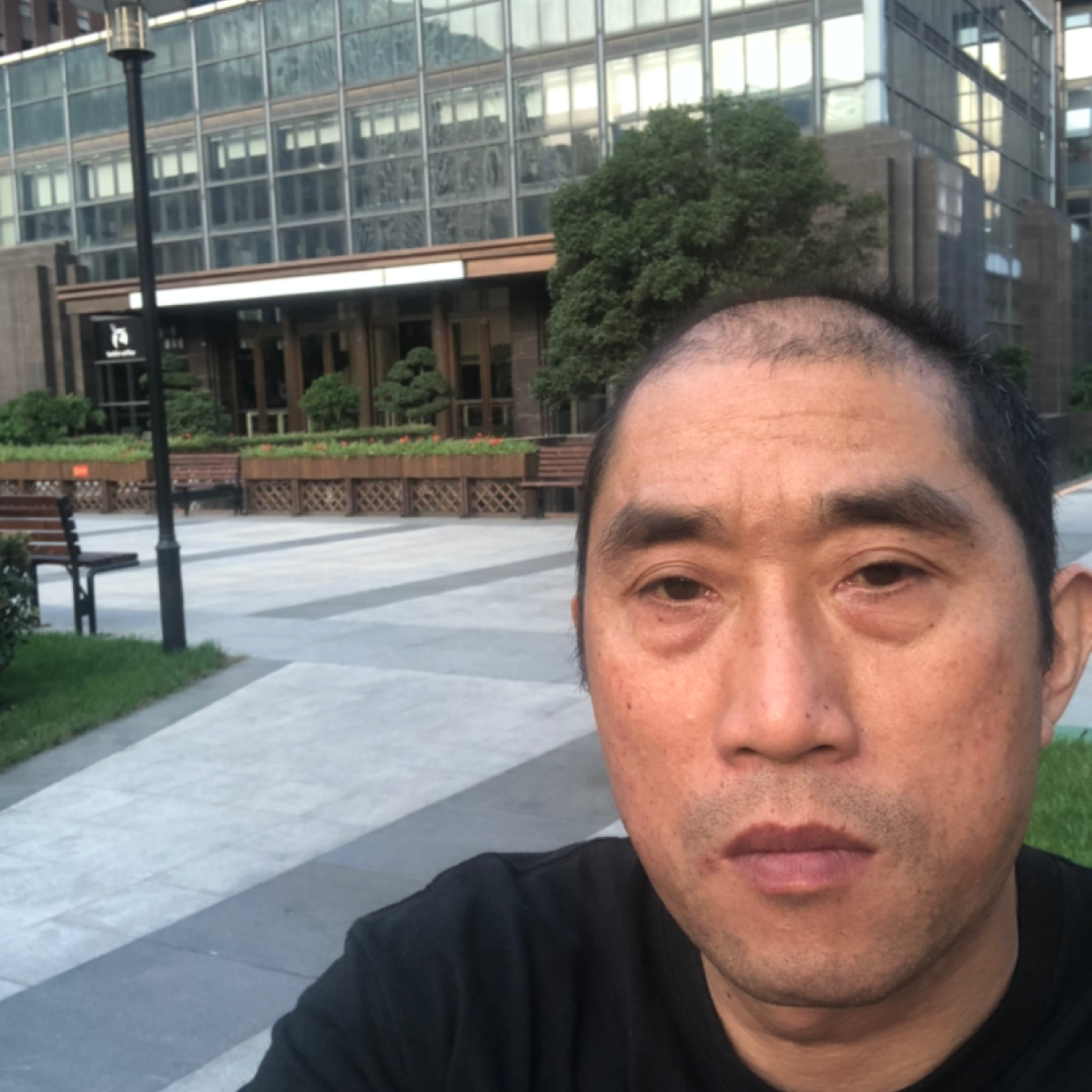 猫咪和谐农民工的照片