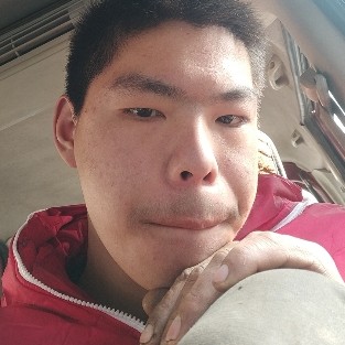 小懒猪就舒心的照片