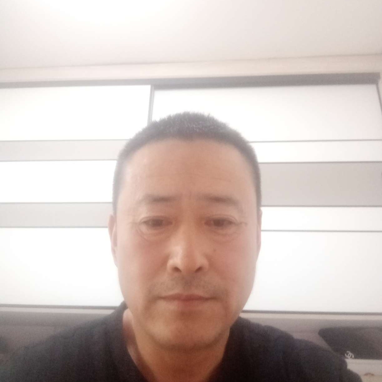 浮生苦恋哈密瓜的照片