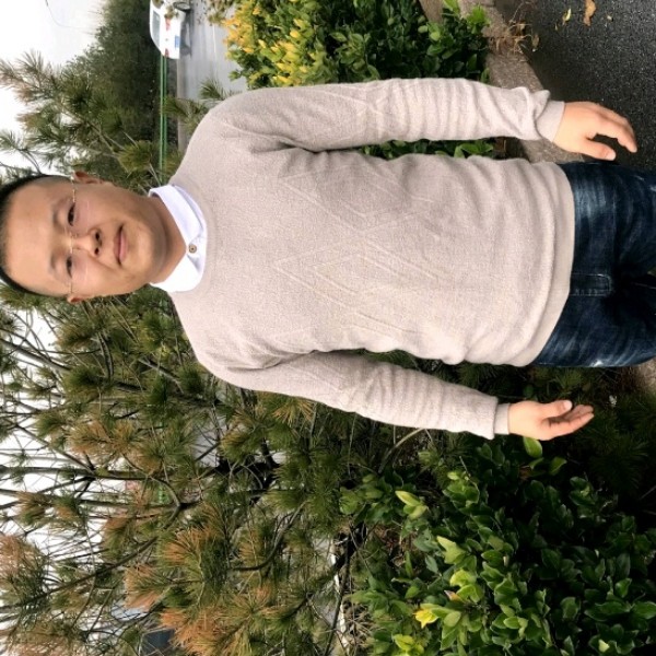 小天鹅那端庄的照片
