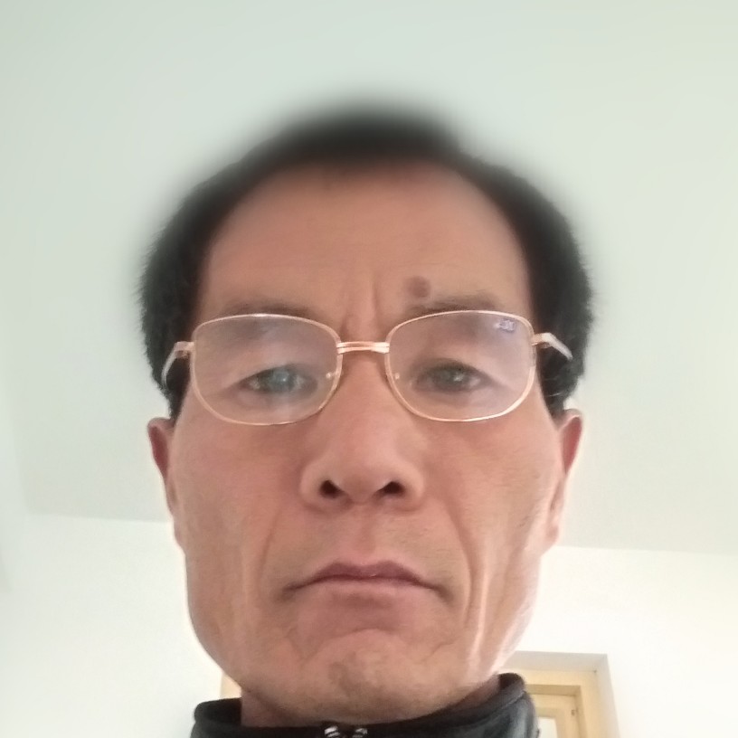 乖巧猫咪的照片