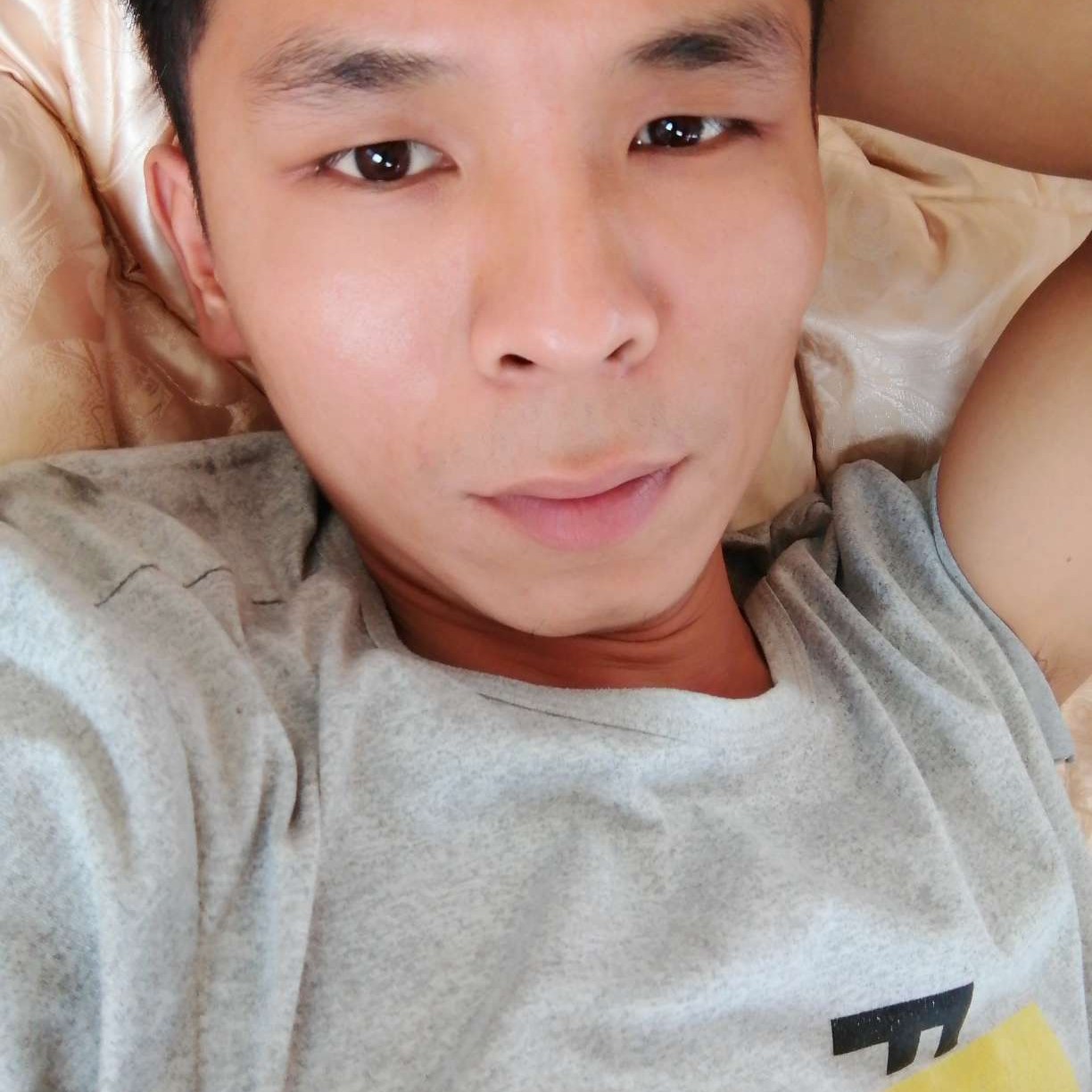 蚂蚁和机智的照片