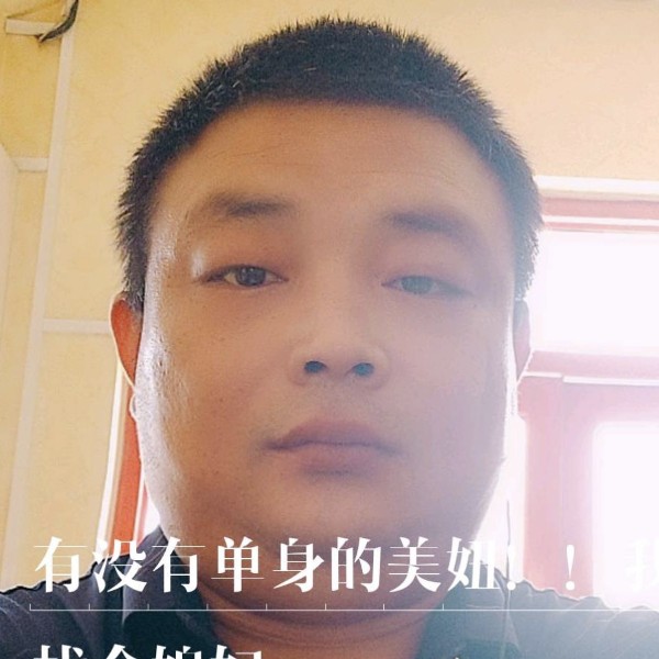 没人要的狼的照片