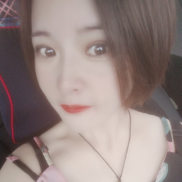 萌萌的小猫的照片