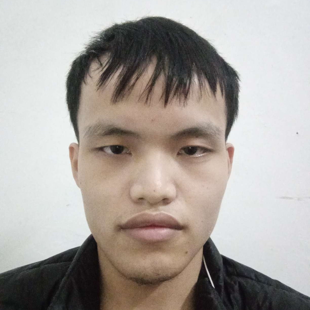 独特深拥向日葵的照片