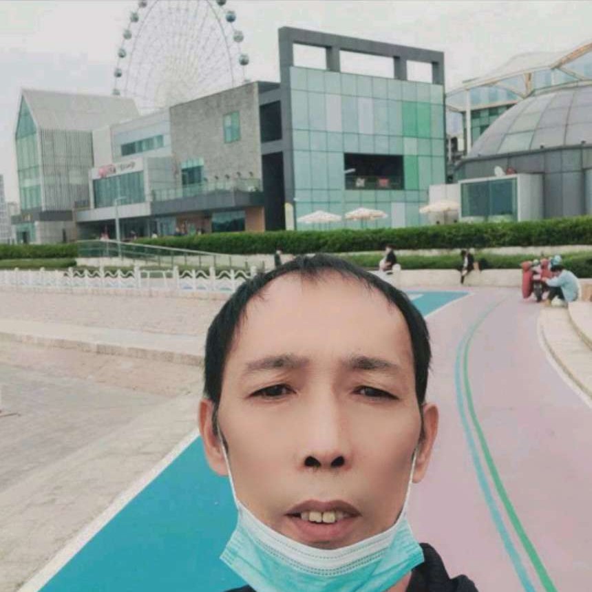 梧桐夜的照片