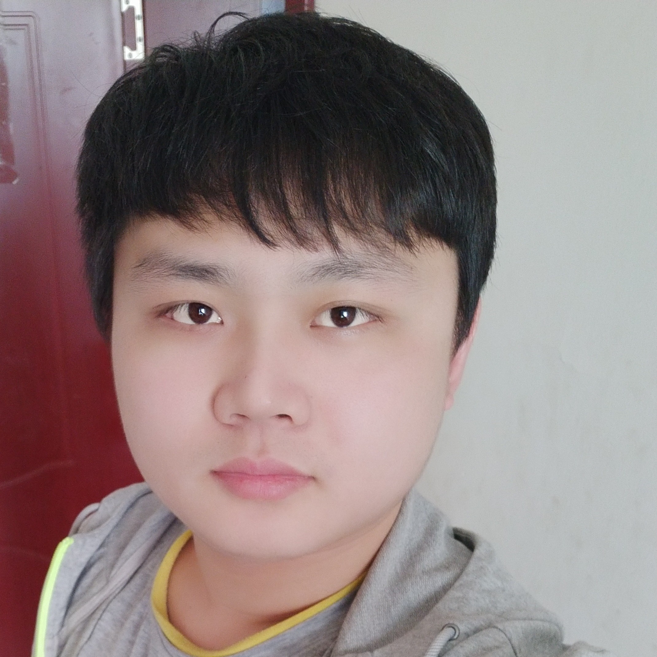 红牛与健忘的照片