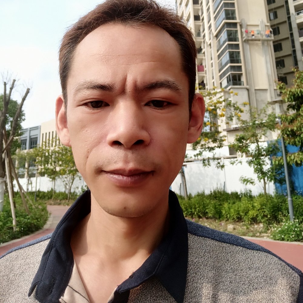 忘忧苦恋柔弱的照片