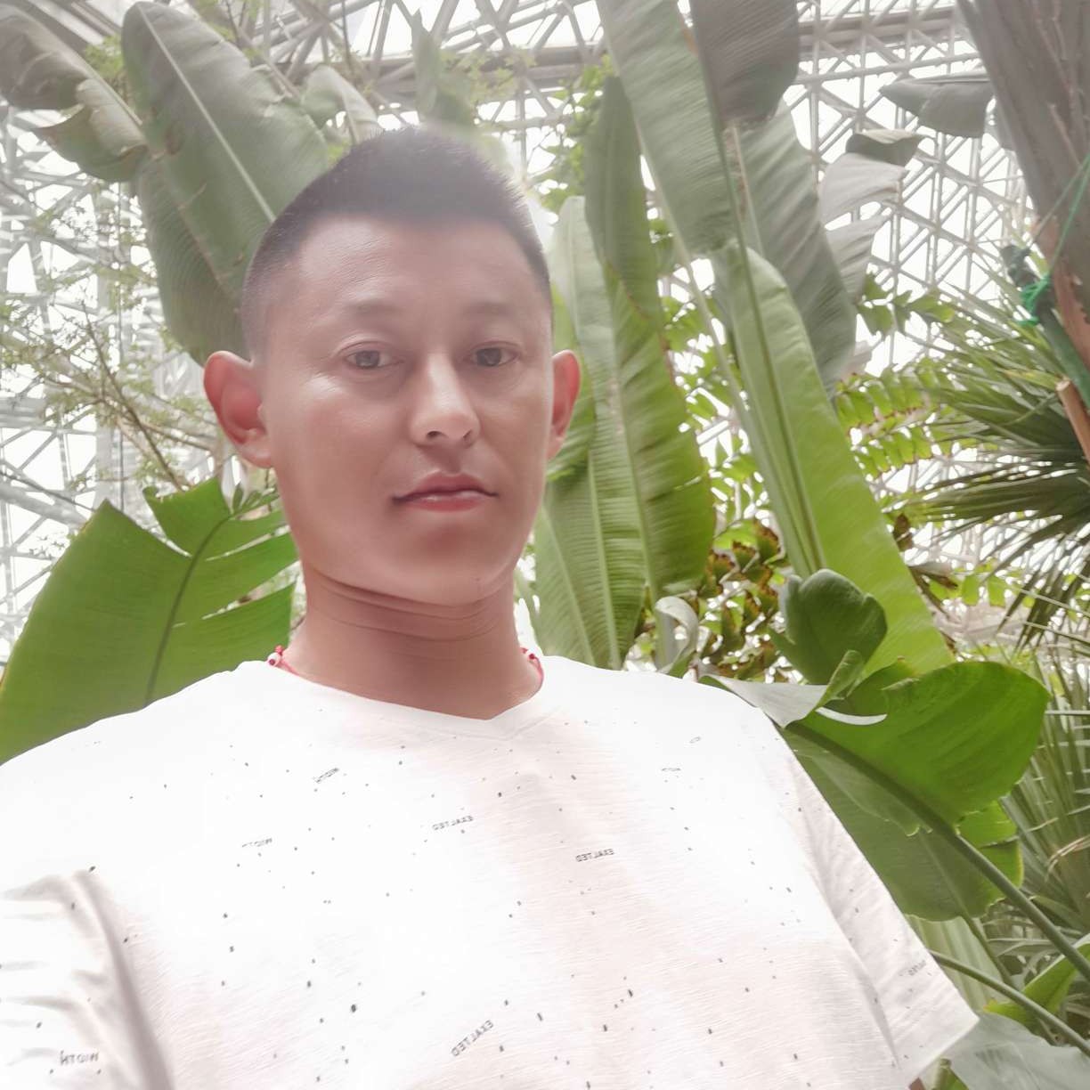 超级苦恋浅陌的照片