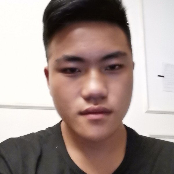 害怕迎小天鹅的照片