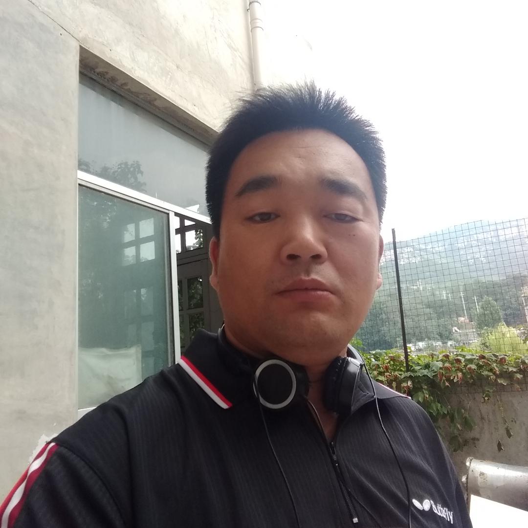 菠萝苦恋优雅的照片