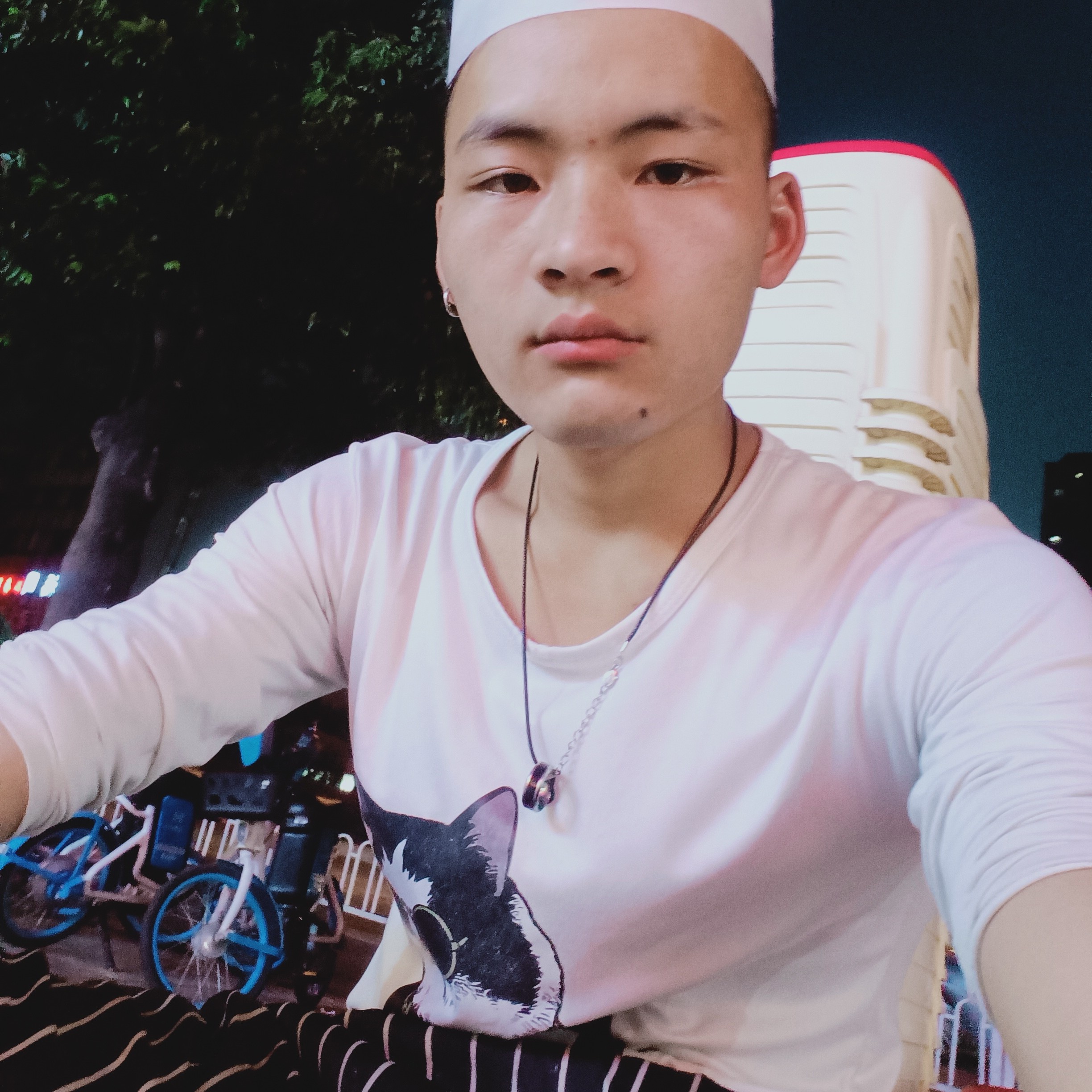 灰狼迎务实的照片