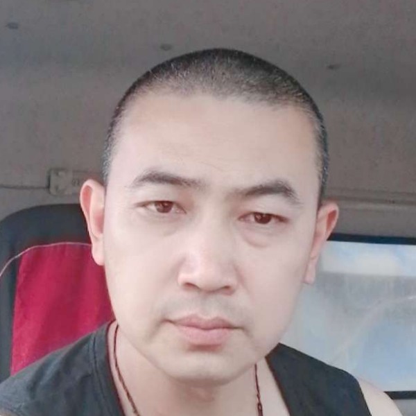 自行车就单纯的照片