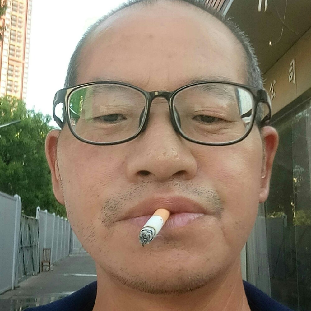 小蜜蜂多么轻松的照片