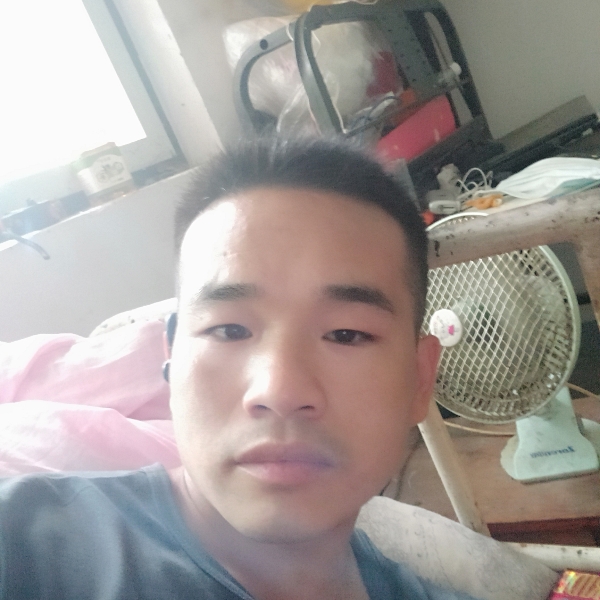 黄蜂等待的照片