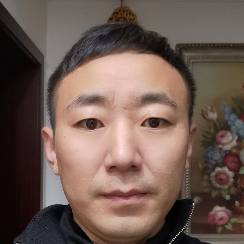 灰狼那耍酷的照片