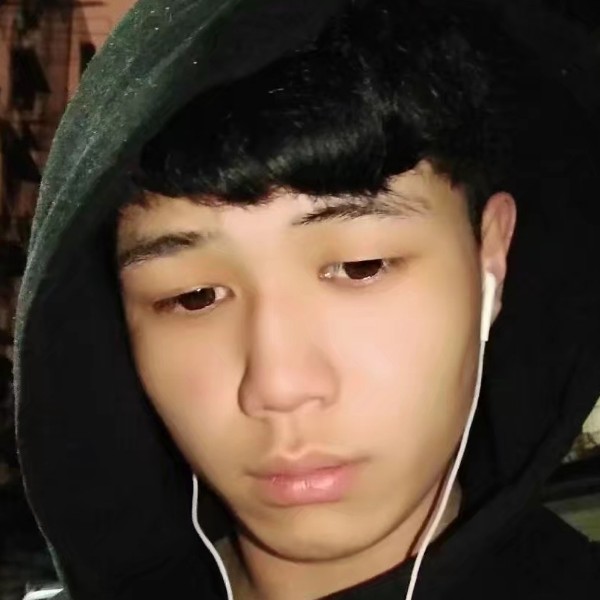 淡定的含羞草的照片