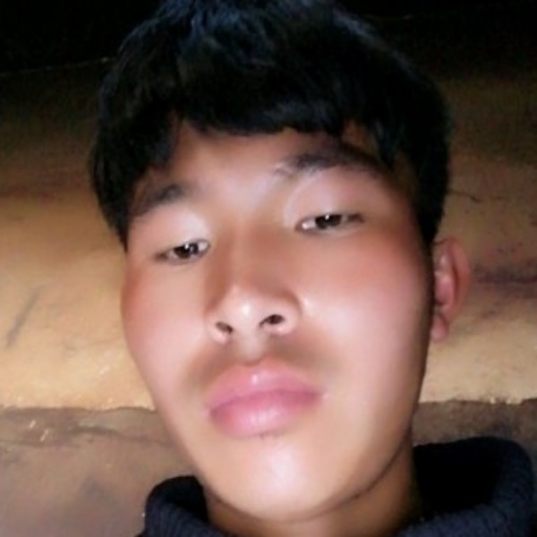 甜甜爱恋蚂蚁的照片