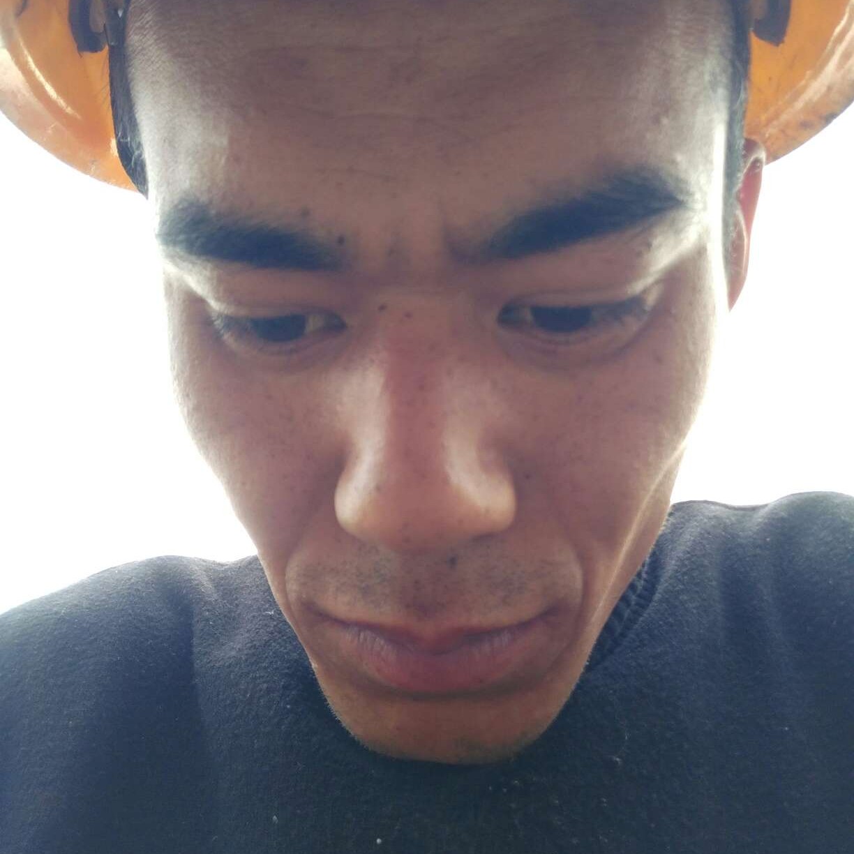 玫瑰酷炫你在家不的照片