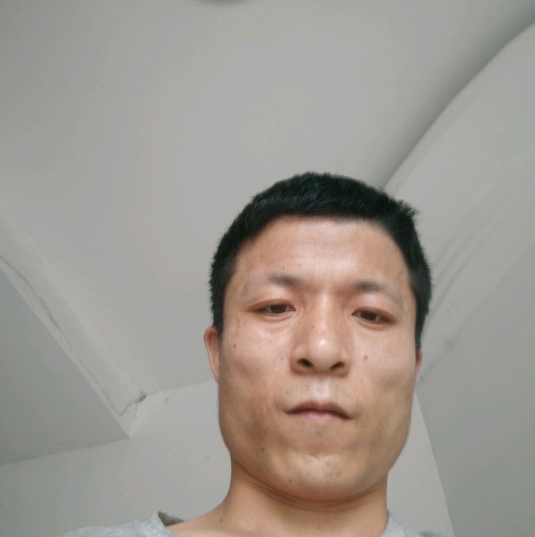 玉米打平淡的照片