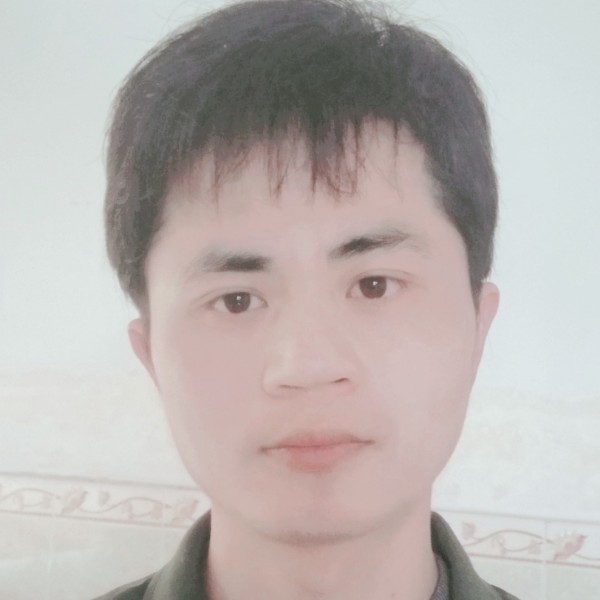 低调的骆驼的照片