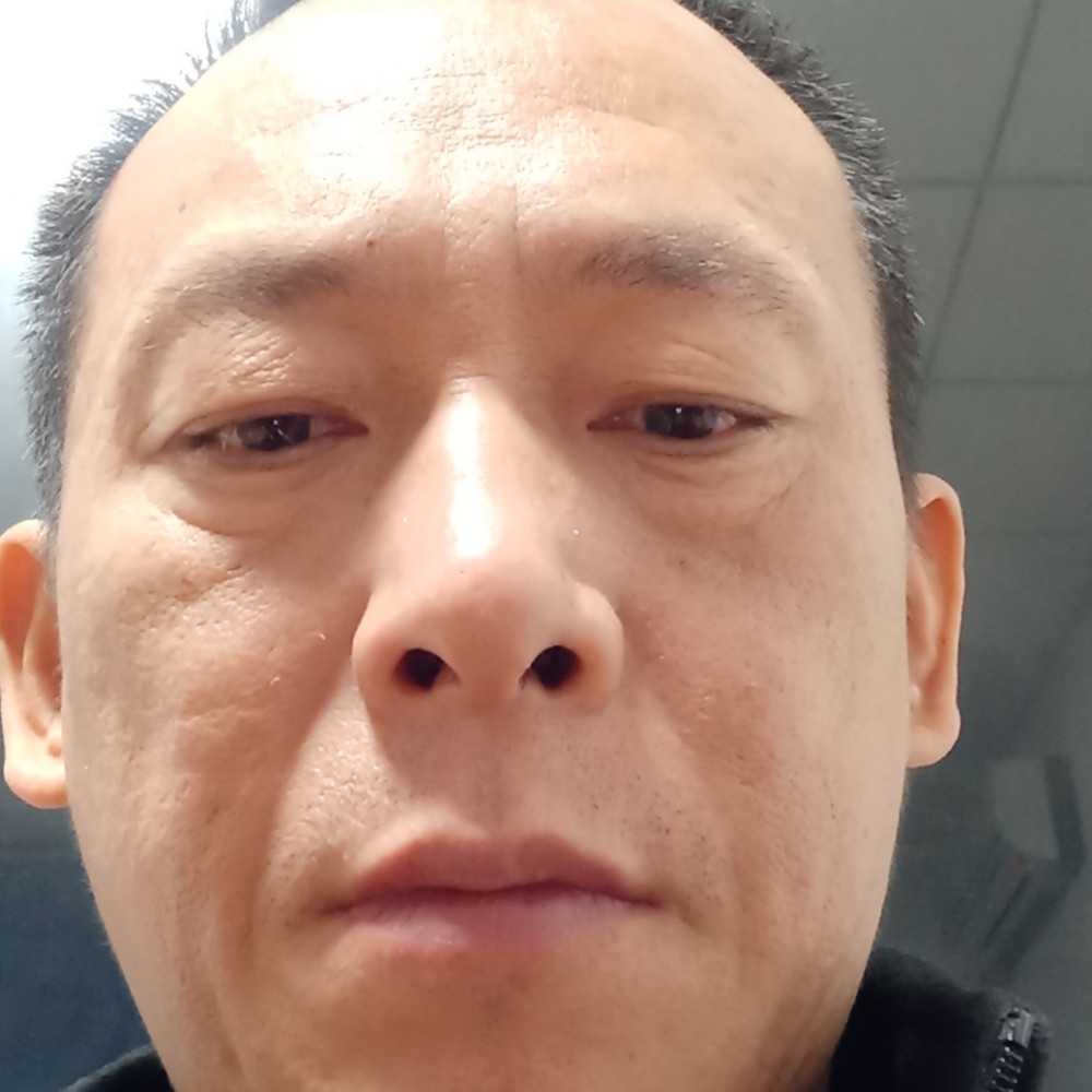 猎豹拾忆美丽的照片